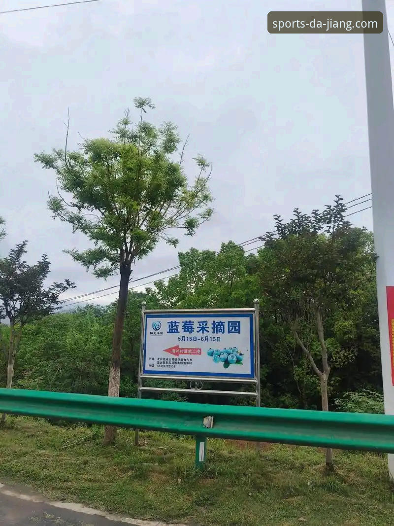 大江体育平台2024新版功能详解：最新版App使用攻略最新动态